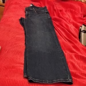 Lane Bryant Dark Blue Straight Leg Jeans
